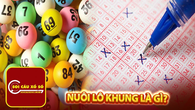 Nuôi lô khung là gì?