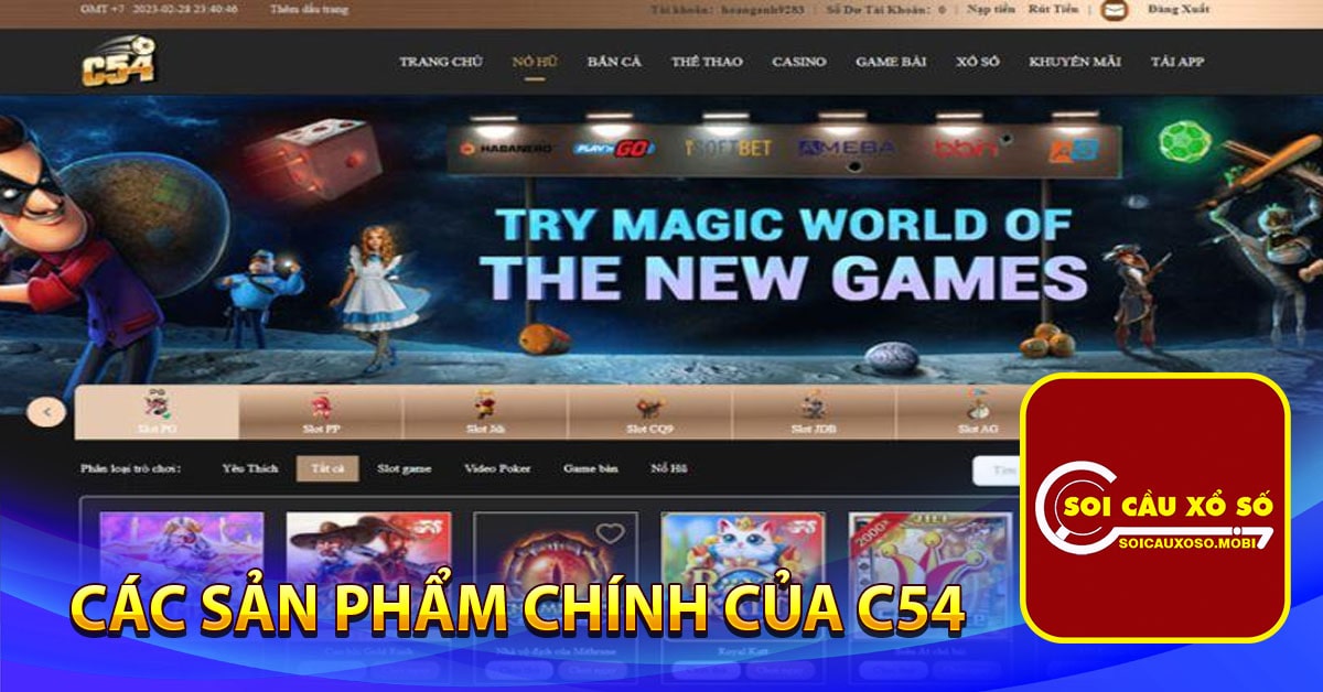 Các sản phẩm chính của C54