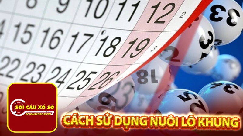 Cách sử dụng nuôi lô khung