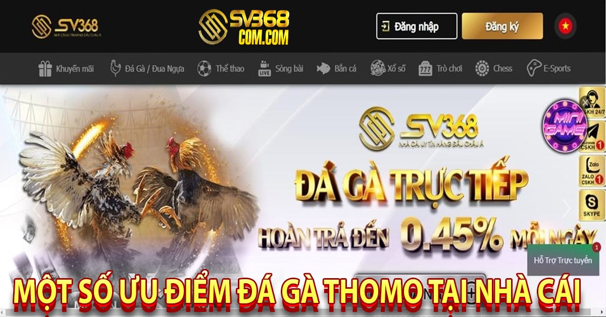 Một số ưu điểm đá gà thomo tại nhà cái