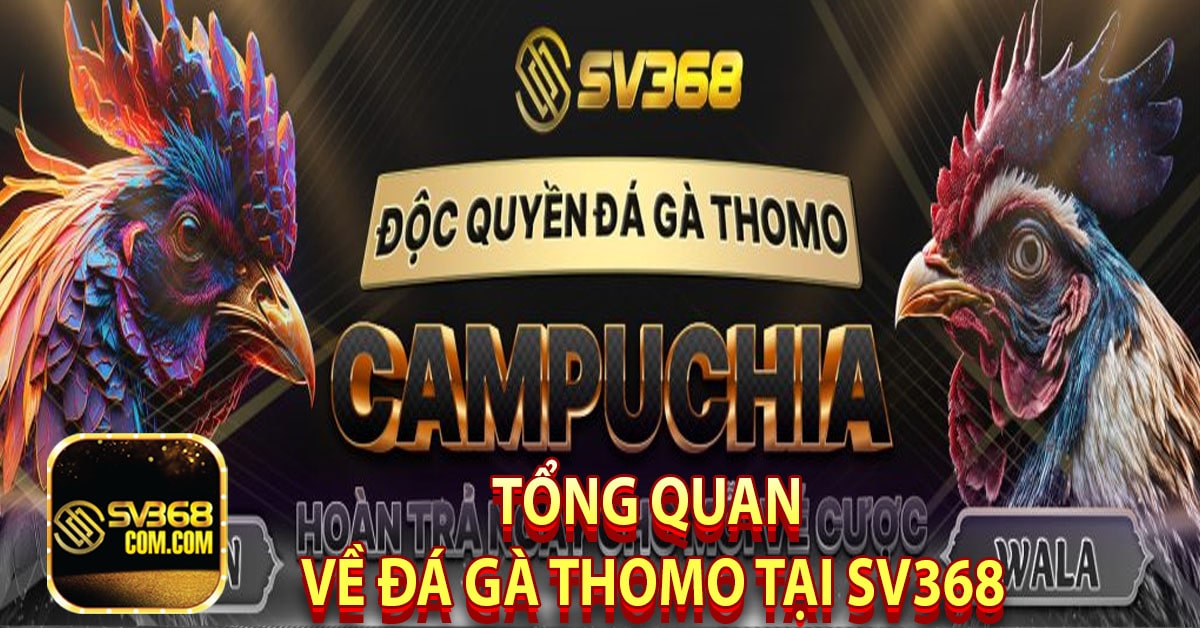 Tổng quan về đá gà thomo tại Sv368