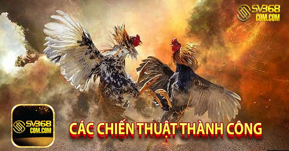 các chiến thuật thành công