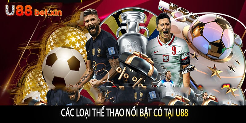 Các Loại Thể Thao Nổi Bật Có Tại U88